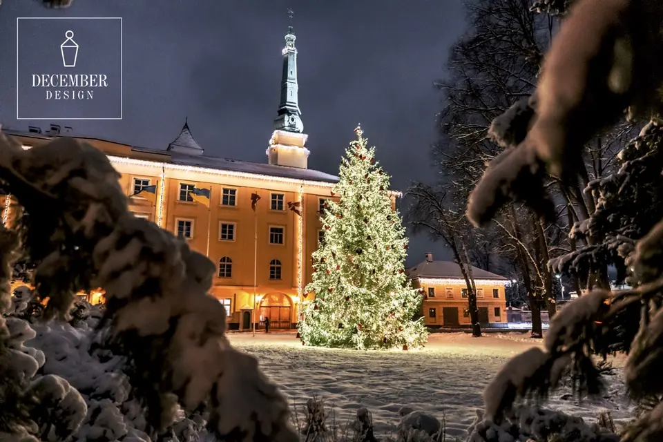 Christmas tree near the Riga Castle tower, snowy fir branches in the foreground