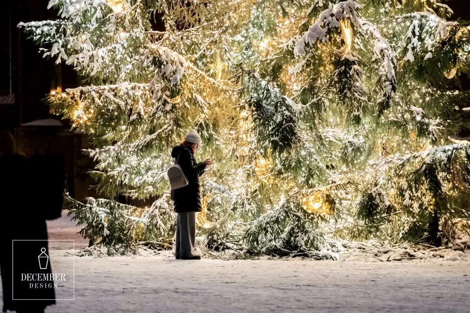 A passer-by at the snow-covered fir branches glistening in the lights in Doma Square