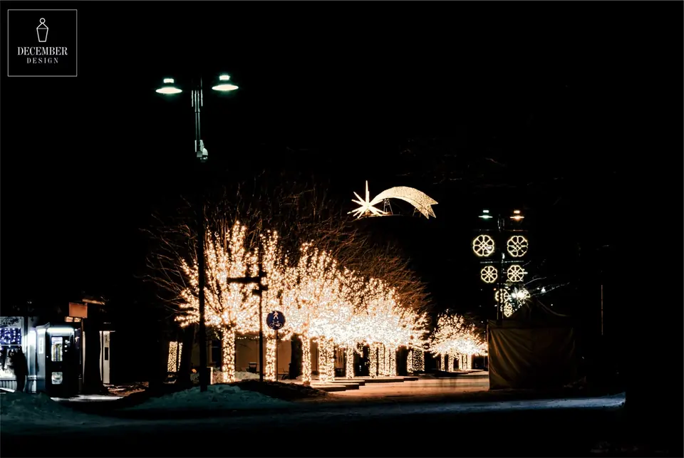Trees illuminated with white light garlands on a winter evening, a star of light can be seen in the background