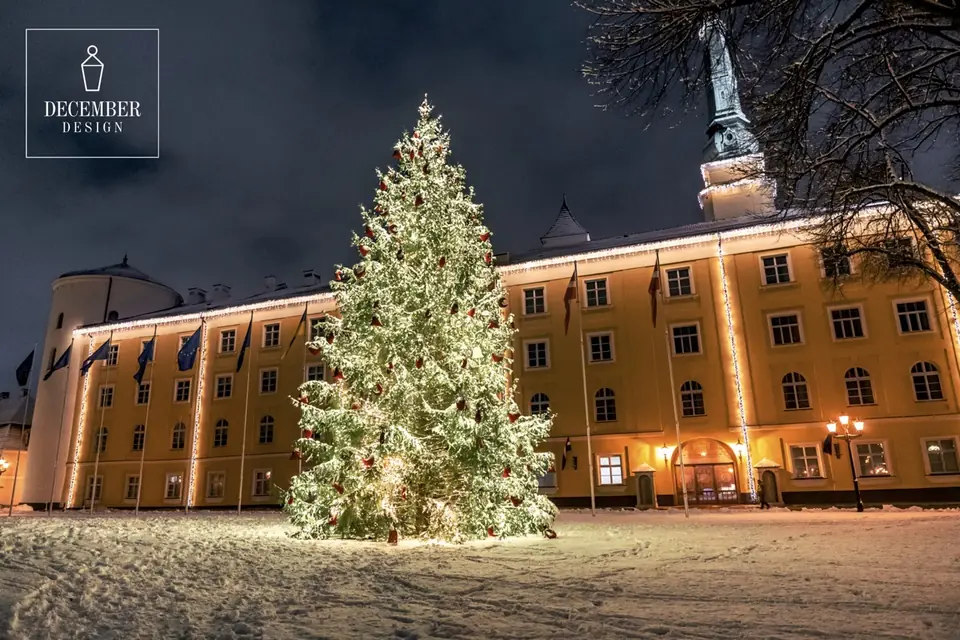 Illuminated Christmas tree with red balls in the square of Riga Castle on a snowy night