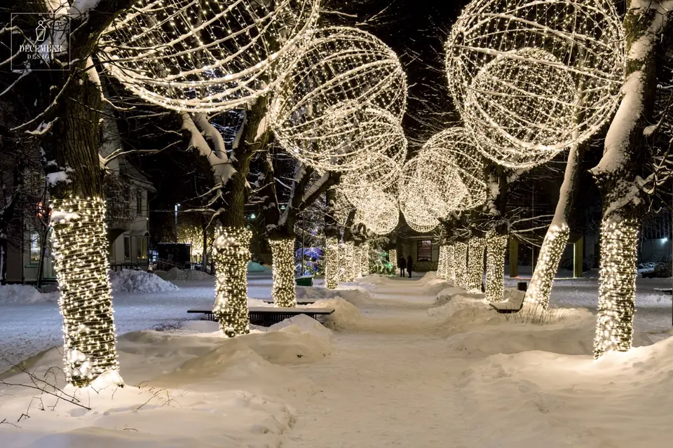 A snowy alley with trees dressed in light and light orbs installed in the air at night