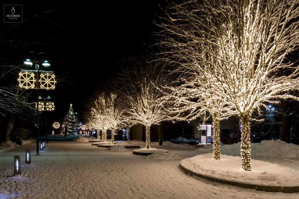 A row of trees dressed from trunk to branch in warm white light and lanterns with round star decorations